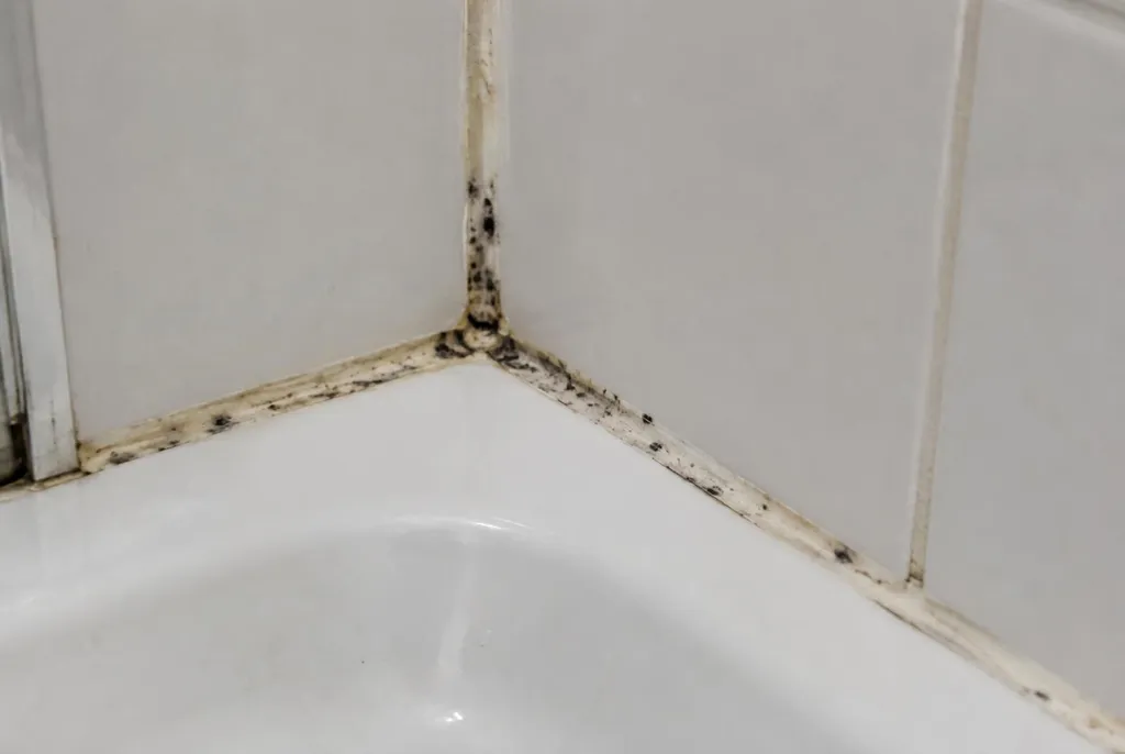 Kitbedrijf Zevenaar – beschimmelde kitranden